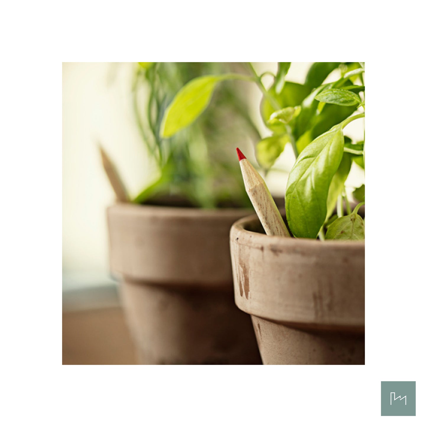 Sprout potlood met zaden